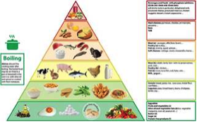 New Food Pyramid for Kidney Disease Patients
